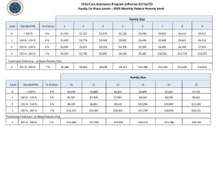 CCAP 2025 Family Income Co-Pay ChartPage2
